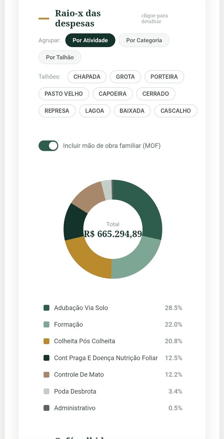 Raio-x das despesas por atividade