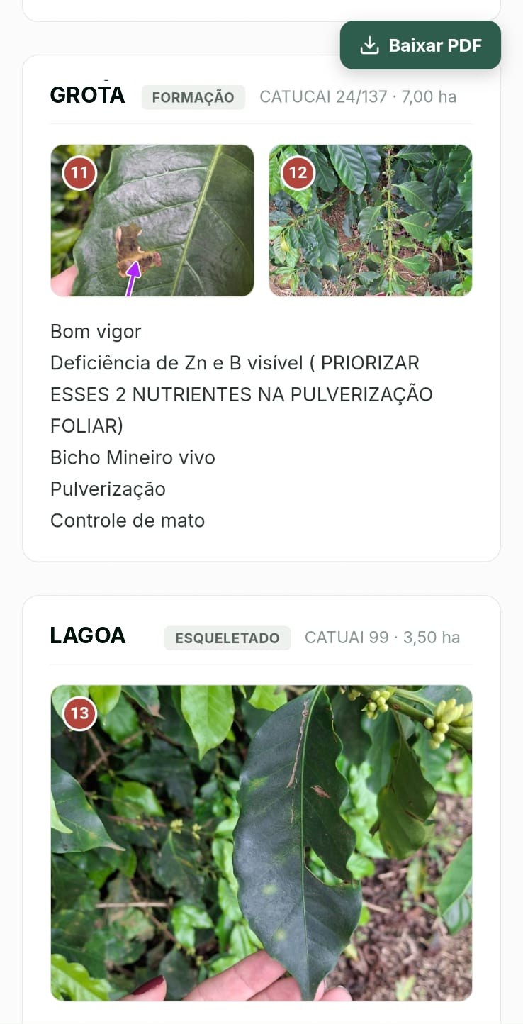 Talhões avaliados com fotos e observações